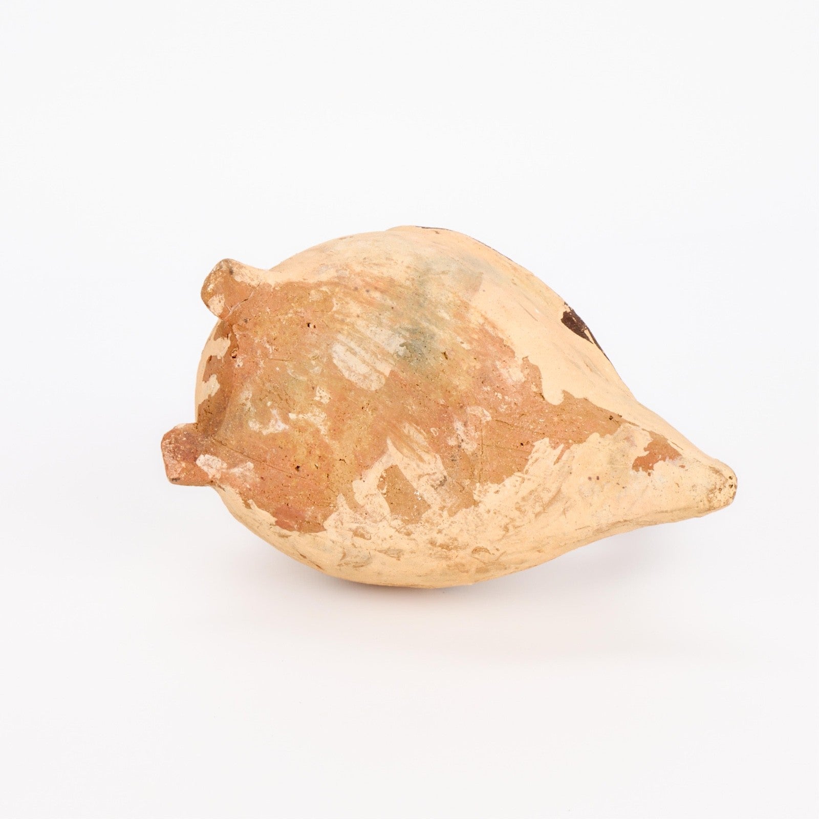 Moche Avian Stirrup Vessel – Nesting Bird Terracotta, North Coast Peru, Circa 100–800 CE