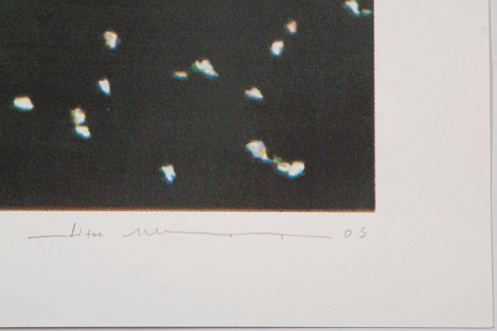 Lita Albuquerque — Ophio Del Una Ciela, 2005