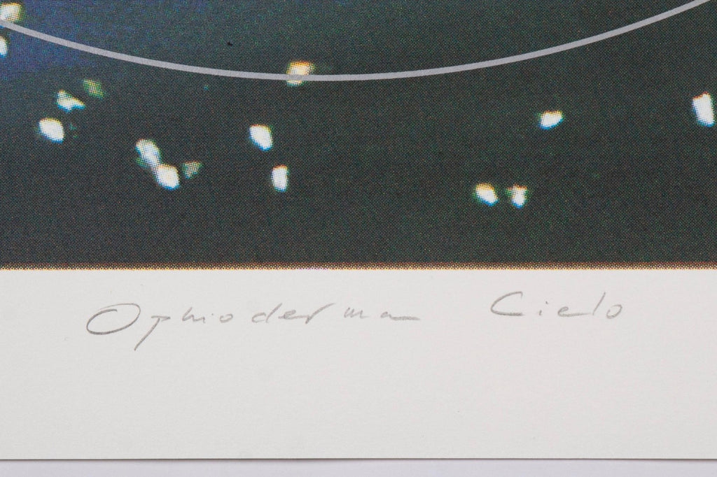 Lita Albuquerque — Ophio Del Una Ciela, 2005