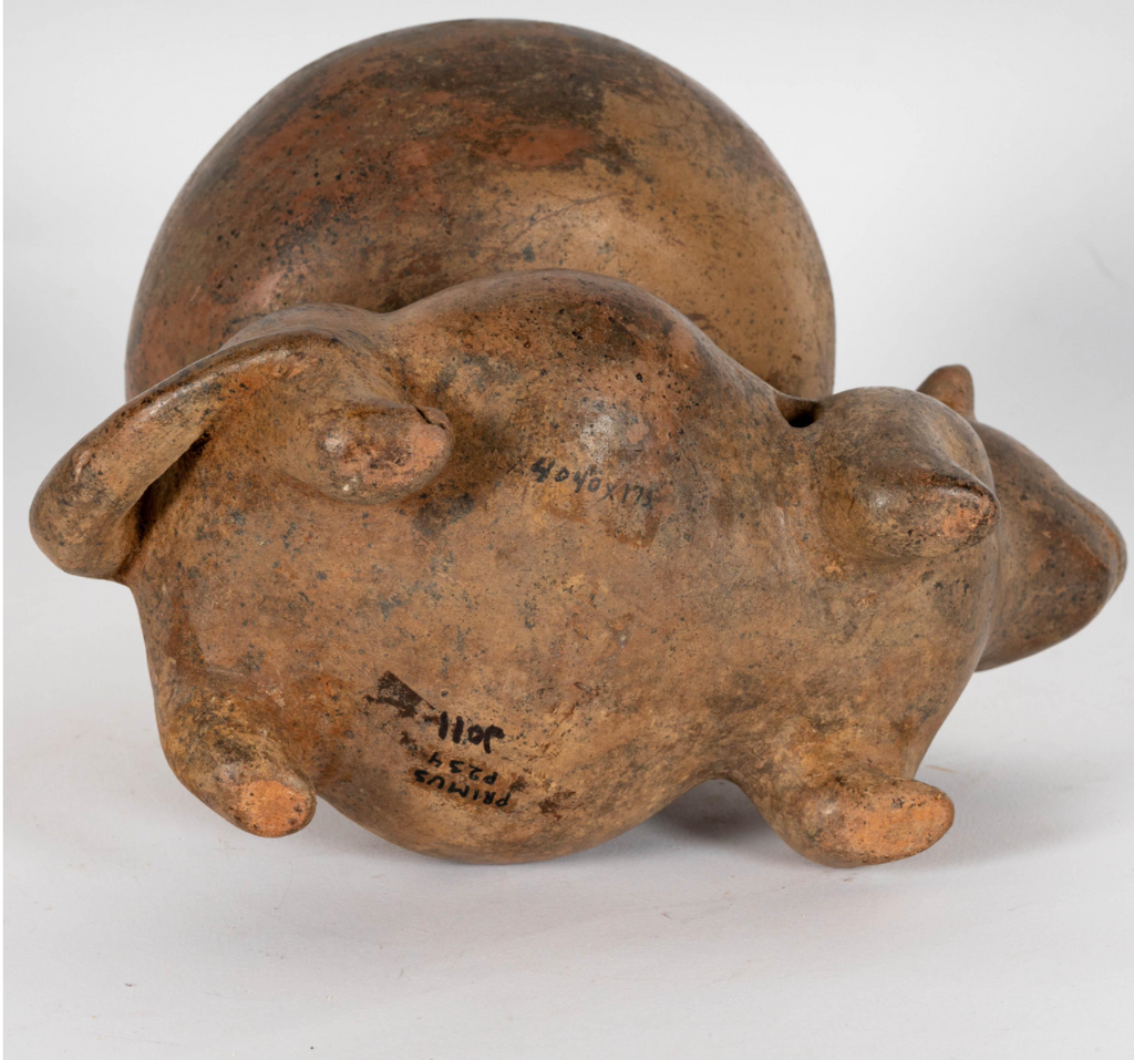 Pre-Columbian Colima Pottery Dog Vessel – Protoclassic Period, circa 100 BCE – 250 CE