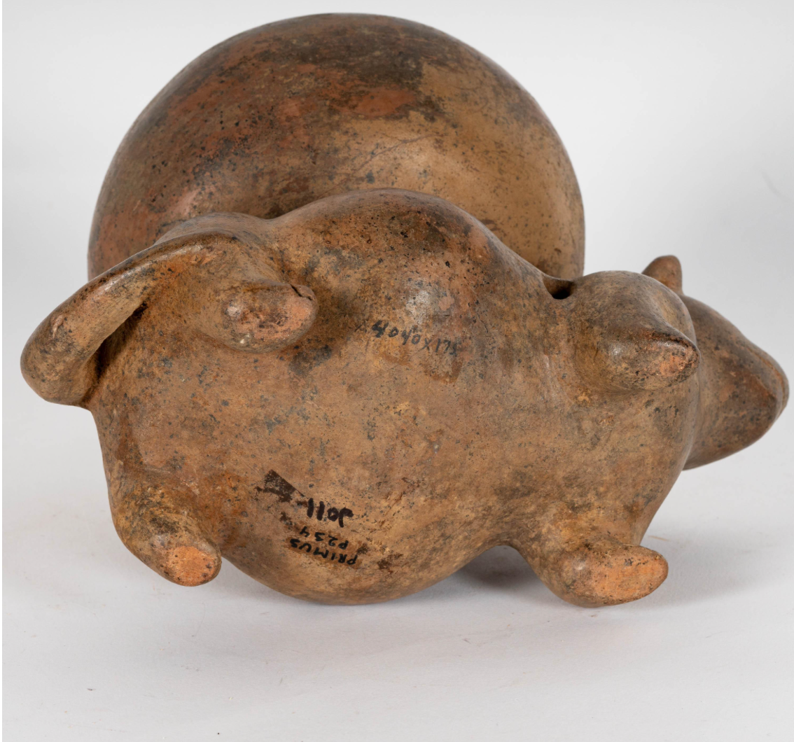 Pre-Columbian Colima Pottery Dog Vessel – Protoclassic Period, circa 100 BCE – 250 CE
